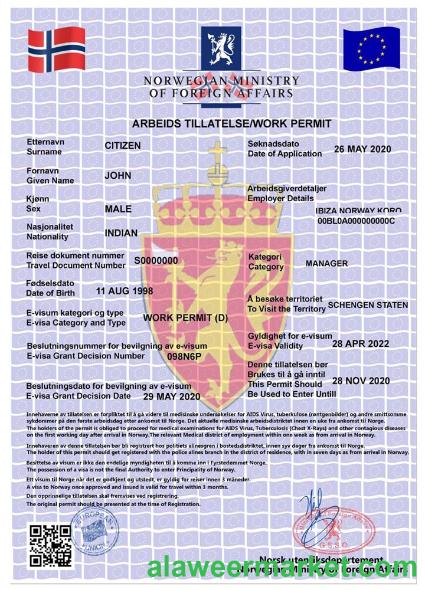 NORWAY work permit, e-visa